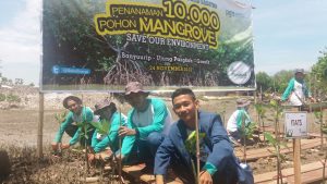 Tanam mangrove oleh perwakilan ITATS